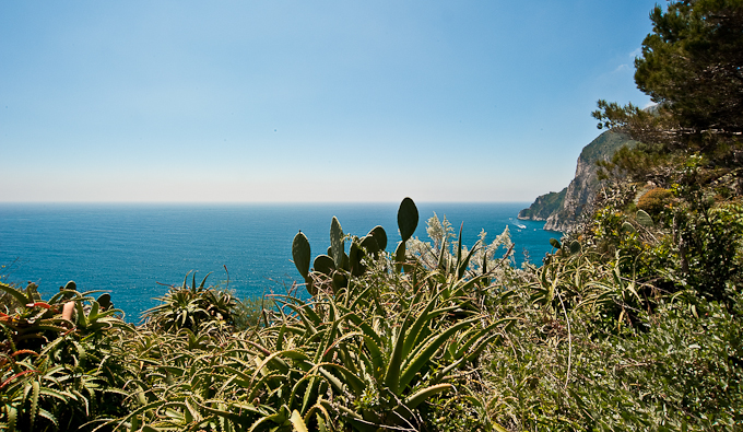 Capri